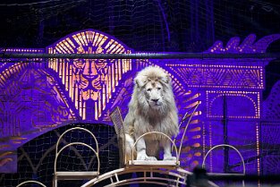 ZK19_ 254