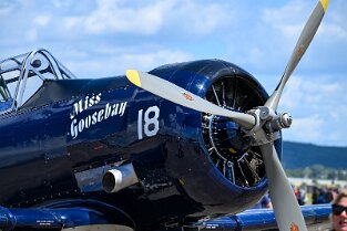 LB_ 194 Feierlichkeiten zu 75 Jahre Luftbrücke auf dem Flughafen Erbenheim (Clay Kaserne). Bild: