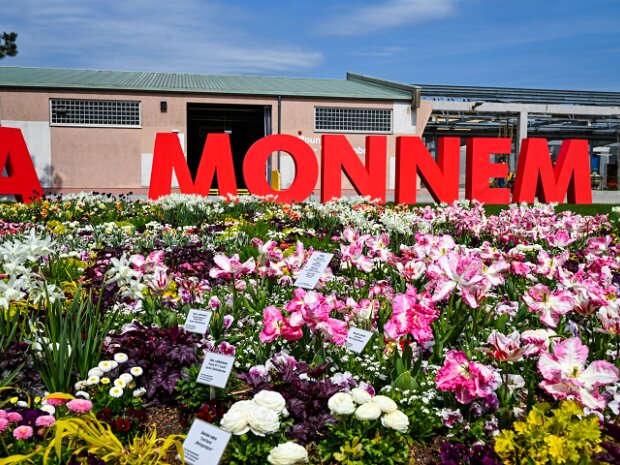 Besuche auf der BUGA 2023