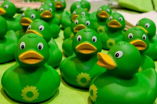 LMV in Frankfurt Impressionen Landesmitgliederversammlung Bündnis 90 / Die Grünen Hessen