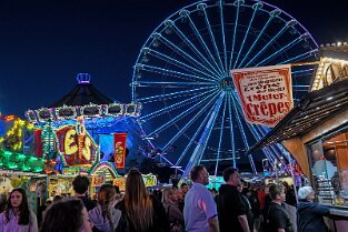 Bienenm23_Night_001