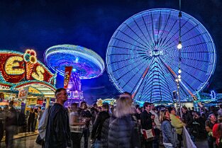 Bienenm23_Night_004