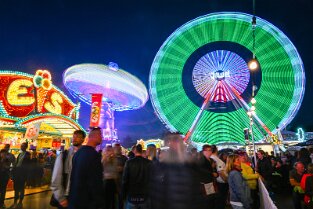 Bienenm23_Night_006