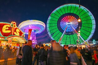 Bienenm23_Night_007
