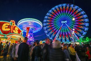 Bienenm23_Night_008