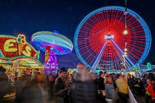 Bienenm23_Night_013