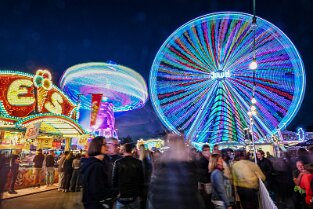 Bienenm23_Night_015