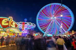 Bienenm23_Night_018