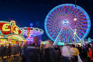 Bienenm23_Night_019