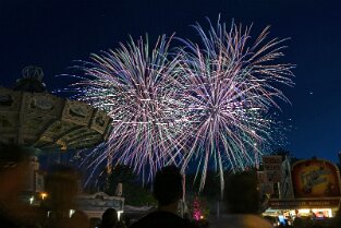Bienenm23_Night_026