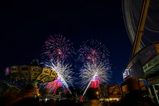 Bienenm23_Night_032