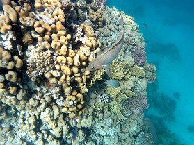 Aegypt_ 0170 This photo is taken by AllWinner's v3-sdv