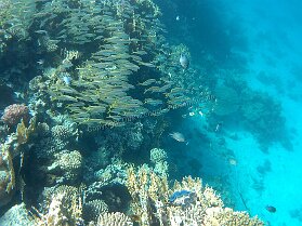 Aegypt_ 0187 This photo is taken by AllWinner's v3-sdv