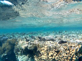 Aegypt_ 0199 This photo is taken by AllWinner's v3-sdv