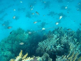 Aegypt_ 0217 This photo is taken by AllWinner's v3-sdv