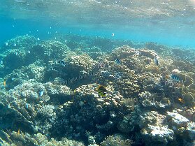 Aegypt_ 0218 This photo is taken by AllWinner's v3-sdv