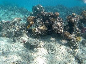 Aegypt_ 0268 This photo is taken by AllWinner's v3-sdv