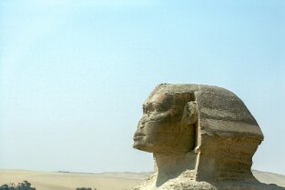 Sphinx Kopf
