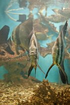Aegypt_ 0160