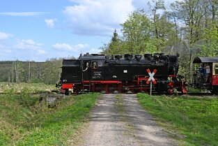 Trav_ 205