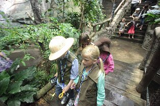 Erlebnismuseum Universeum Göteborg Erlebnismuseum Universeum Göteborg Tropenwald, Lebende Tiere, Dinosaurier, riesige Aquarien, Erlebniswelt und vieles mehr für alle Altersgruppen bietet dieses...