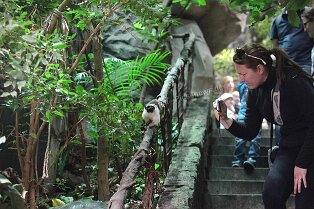 Erlebnismuseum Universeum Göteborg Erlebnismuseum Universeum Göteborg Tropenwald, Lebende Tiere, Dinosaurier, riesige Aquarien, Erlebniswelt und vieles mehr für alle Altersgruppen bietet dieses...