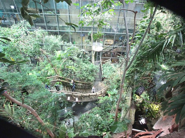 Universeum