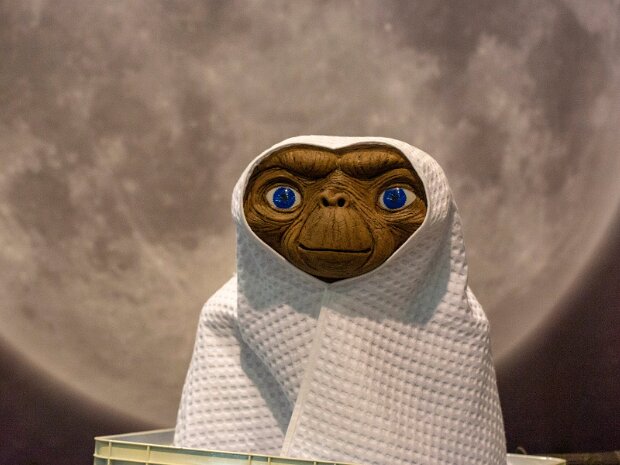 Bilder aus der Welt der Unterhaltung Fernsehproduktionen , Kinofilmpremieren, Bühne aber auch Zirkus und Festivals